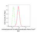 LifeSab™ INMT Rabbit mAb (20 μl)