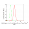 LifeSab™ INMT Rabbit mAb (20 μl)