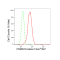 LifeSab™ PSMB10 Rabbit mAb (20 μl)