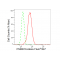 LifeSab™ PSMB10 Rabbit mAb (20 μl)