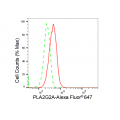 LifeSab™ PLA2G2A Rabbit mAb (20 μl)