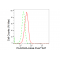 LifeSab™ PLA2G2A Rabbit mAb (20 μl)