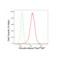 LifeSab™ VCL Rabbit mAb (20 μl)