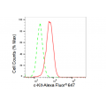 LifeSab™ c-Kit Rabbit mAb (20 μl)