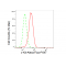 LifeSab™ c-Kit Rabbit mAb (20 μl)