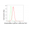 LifeSab™ PLCG1 Rabbit mAb (20 μl)