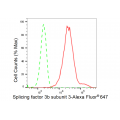 LifeSab™ SF3B3 Rabbit mAb (20 μl)