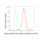 LifeSab™ SF3B3 Rabbit mAb (20 μl)