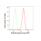 LifeSab™ MGEA5 Rabbit mAb (20 μl)