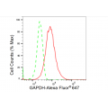 LifeSab™ GAPDH Rabbit mAb (20 μl)