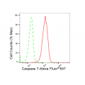 LifeSab™ CASP7 Rabbit mAb (20 μl)