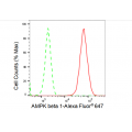 LifeSab™ PRKAB1 Rabbit mAb (20 μl)