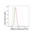 LifeSab™ TMEM173 Rabbit mAb (20 μl)