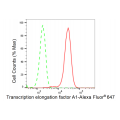 LifeSab™ TCEA1 Rabbit mAb (20 μl)