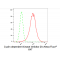 LifeSab™ CDKN2A Rabbit mAb (20 μl)