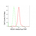 LifeSab™ RACK1 Rabbit mAb (20 μl)