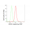 LifeSab™ RACK1 Rabbit mAb (20 μl)