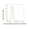 LifeSab™ CDK9 Rabbit mAb (20 μl)