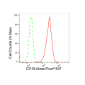 LifeSab™ CD19 Rabbit mAb (20 μl)