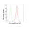 LifeSab™ CD19 Rabbit mAb (20 μl)