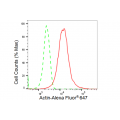 LifeSab™ Actin Rabbit mAb (20 μl)