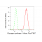 LifeSab™ GYS1 Rabbit mAb (20 μl)