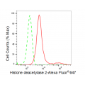 LifeSab™ HDAC2 Rabbit mAb (20 μl)