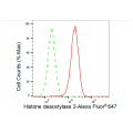 LifeSab™ HDAC2 Rabbit mAb (20 μl)