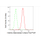 LifeSab™ HDAC2 Rabbit mAb (20 μl)