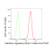 LifeSab™ IRF7 Rabbit mAb (20 μl)