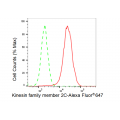 LifeSab™ KIF2C Rabbit mAb (20 μl)