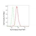 LifeSab™ KLF4 Rabbit mAb (20 μl)