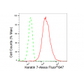 LifeSab™ Keratin 7 Rabbit mAb (20 μl)