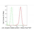 LifeSab™ LRP1 Rabbit mAb (20 μl)