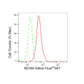 LifeSab™ MCM4 Rabbit mAb (20 μl)