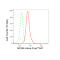 LifeSab™ MCM4 Rabbit mAb (20 μl)