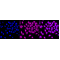 LifeSab™ MCM4 Rabbit mAb (20 μl)