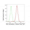 LifeSab™ TTF-1 Rabbit mAb (20 μl)