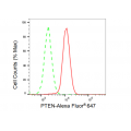 LifeSab™ PTEN Rabbit mAb (20 μl)