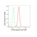 LifeSab™ PTEN Rabbit mAb (20 μl)