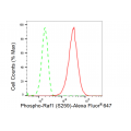 LifeSab™ Phospho-Raf1 (S259) Rabbit mAb (20 μl)