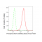 LifeSab™ Phospho-Raf1 (S259) Rabbit mAb (20 μl)