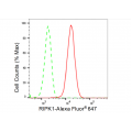 LifeSab™ RIPK1 Rabbit mAb (20 μl)