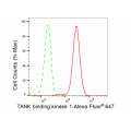 LifeSab™ TBK1 Rabbit mAb (20 μl)