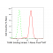 LifeSab™ TBK1 Rabbit mAb (20 μl)