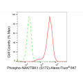 LifeSab™ Phospho-NAK/TBK1 (S172) Rabbit mAb (20 μl)