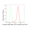 LifeSab™ Phospho-NAK/TBK1 (S172) Rabbit mAb (20 μl)