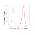 LifeSab™ Vimentin Rabbit mAb (20 μl)