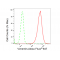 LifeSab™ Vimentin Rabbit mAb (20 μl)