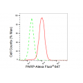 LifeSab™ PARP Rabbit mAb (20 μl)